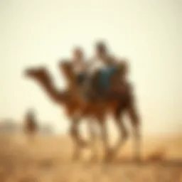 Camel Racing in Dubai Introduction