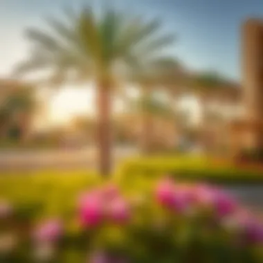 Community features and recreational areas near Ajman Bank Residence