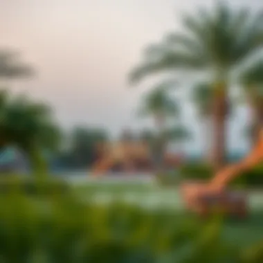 Recreational Amenities in Emaar The Greens Outdoor recreational facilities available for residents in Emaar The Greens