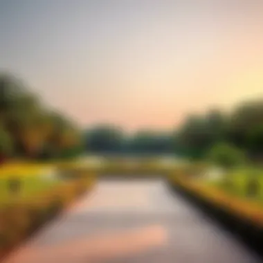 Serene Park in Sharjah A tranquil park with lush greenery in the heart of Sharjah