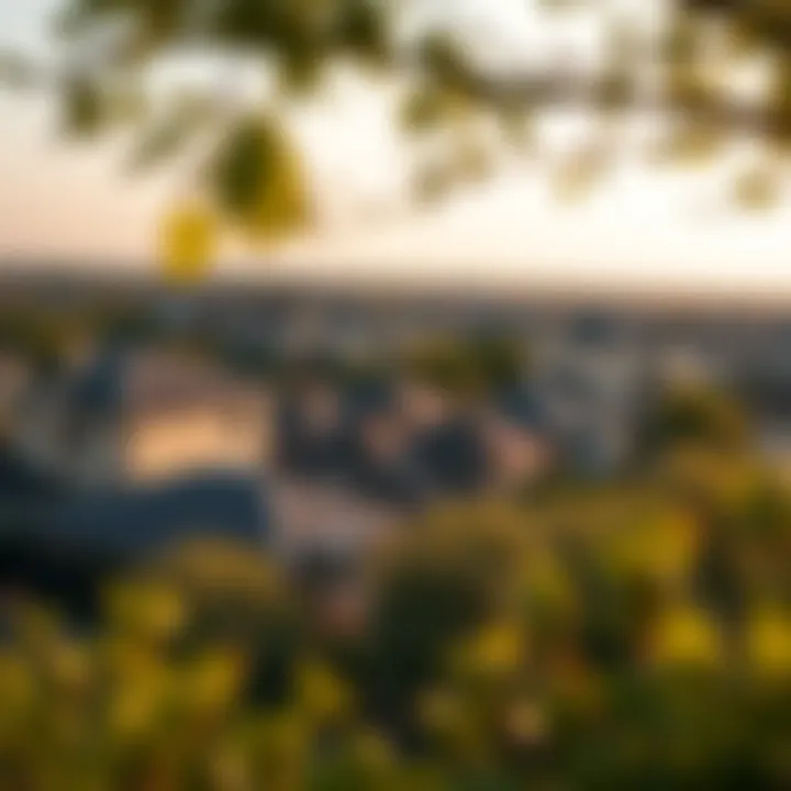 Scenic view of the surrounding neighborhood of Oxford Gardens