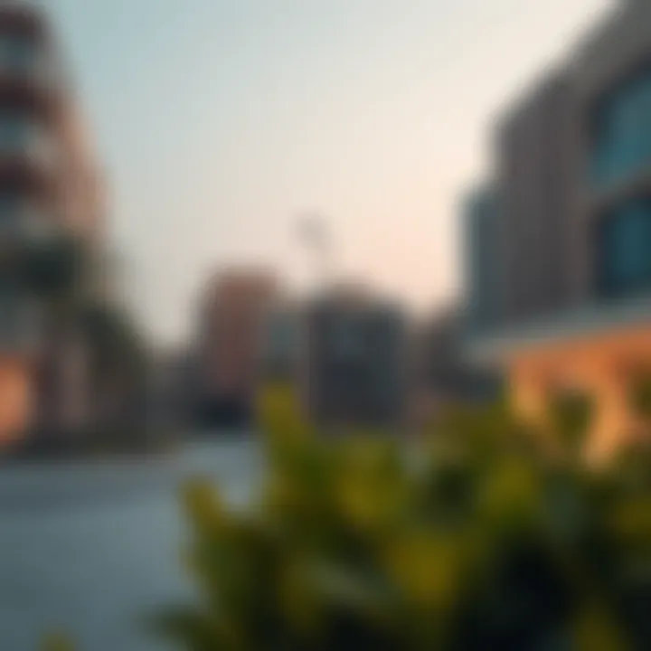 Lifestyle amenities surrounding سوق القطاره