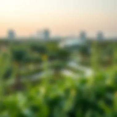 A panoramic view of Green Belt Park showcasing its lush greenery and landscaped pathways