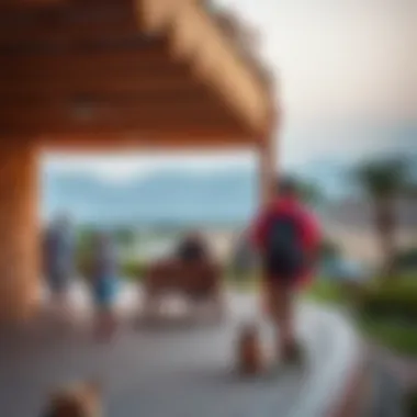 Visitors enjoying recreational activities amidst serene landscapes in Hadiqat Al Ain