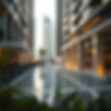 Future Trends in Dubai's Real Estate Market Future Trends in Dubai's Real Estate Market