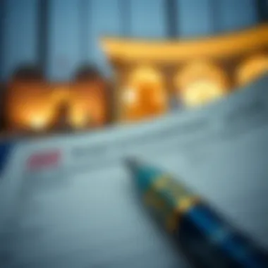 Visa Application Essentials Visa application form
